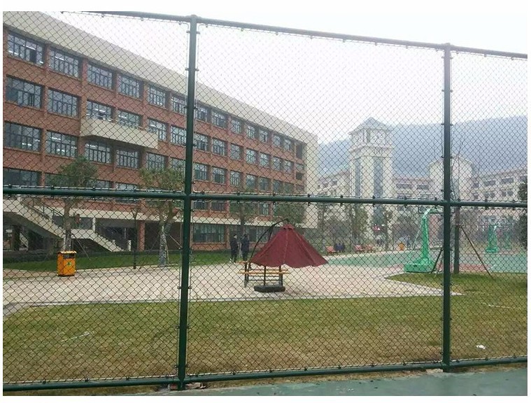 如何使用专业设备进行高效的篮板训练?_2